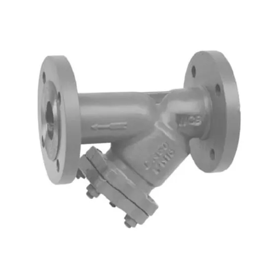 Y型过滤器