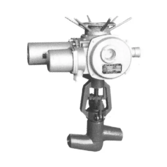 ( W、Y、H)- PN 100、160、200、250、320P54、P55、P57-100V、140V、170V 电动高温高压