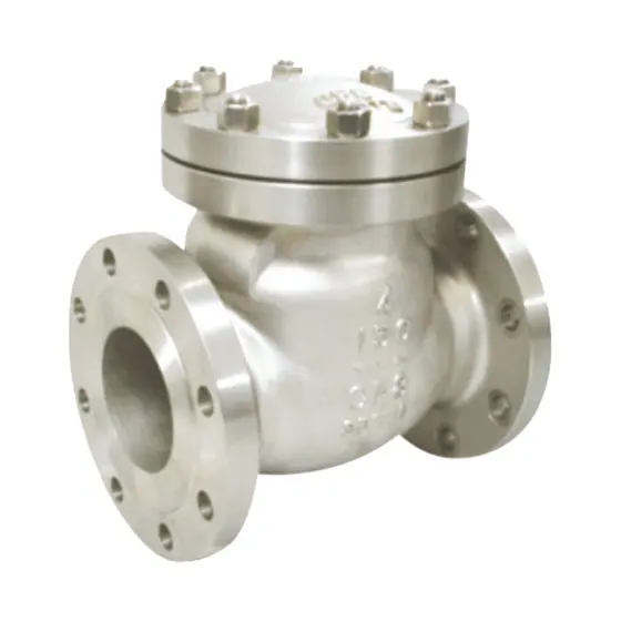 ZGV H44W stainless-steel swing check-valve exterior.